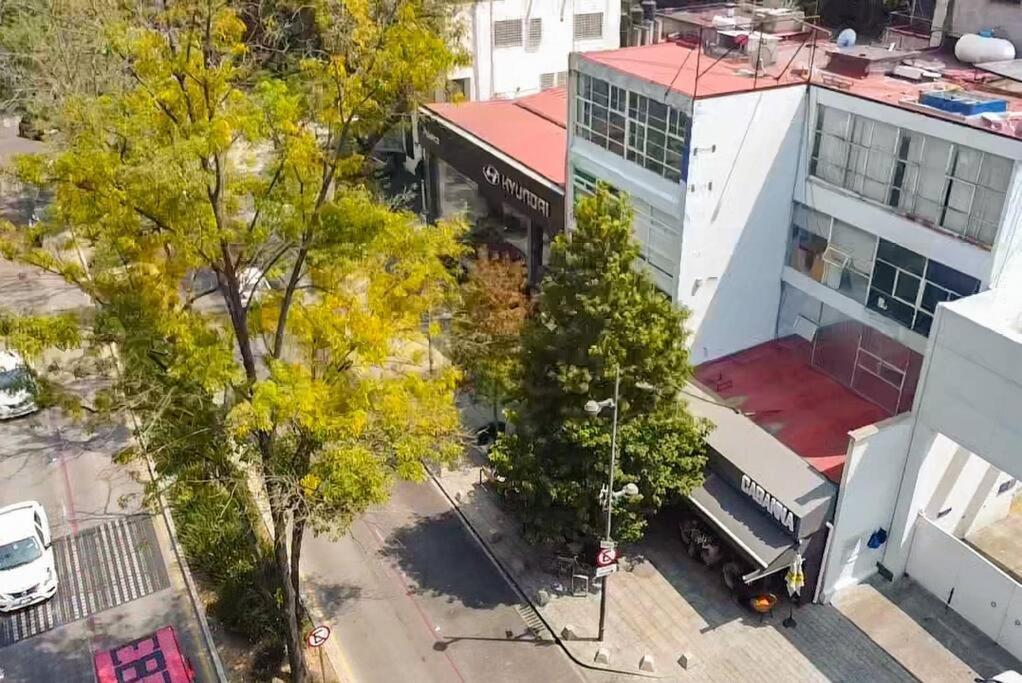 Villa ¡Nuevo! Bamboo Celebrity Mexiko-Stadt Exterior foto